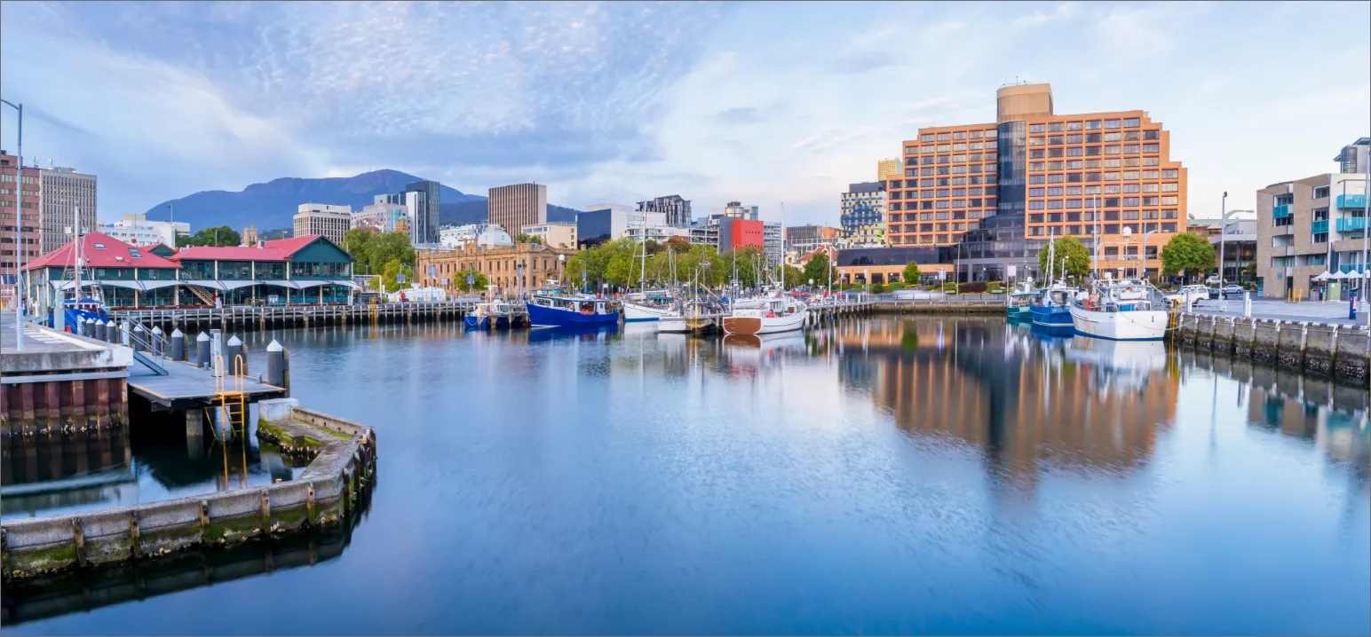 Shop Tasmania/eCommerce Clients/shoptasmania/ST_Homepage_Banner_mzcet9