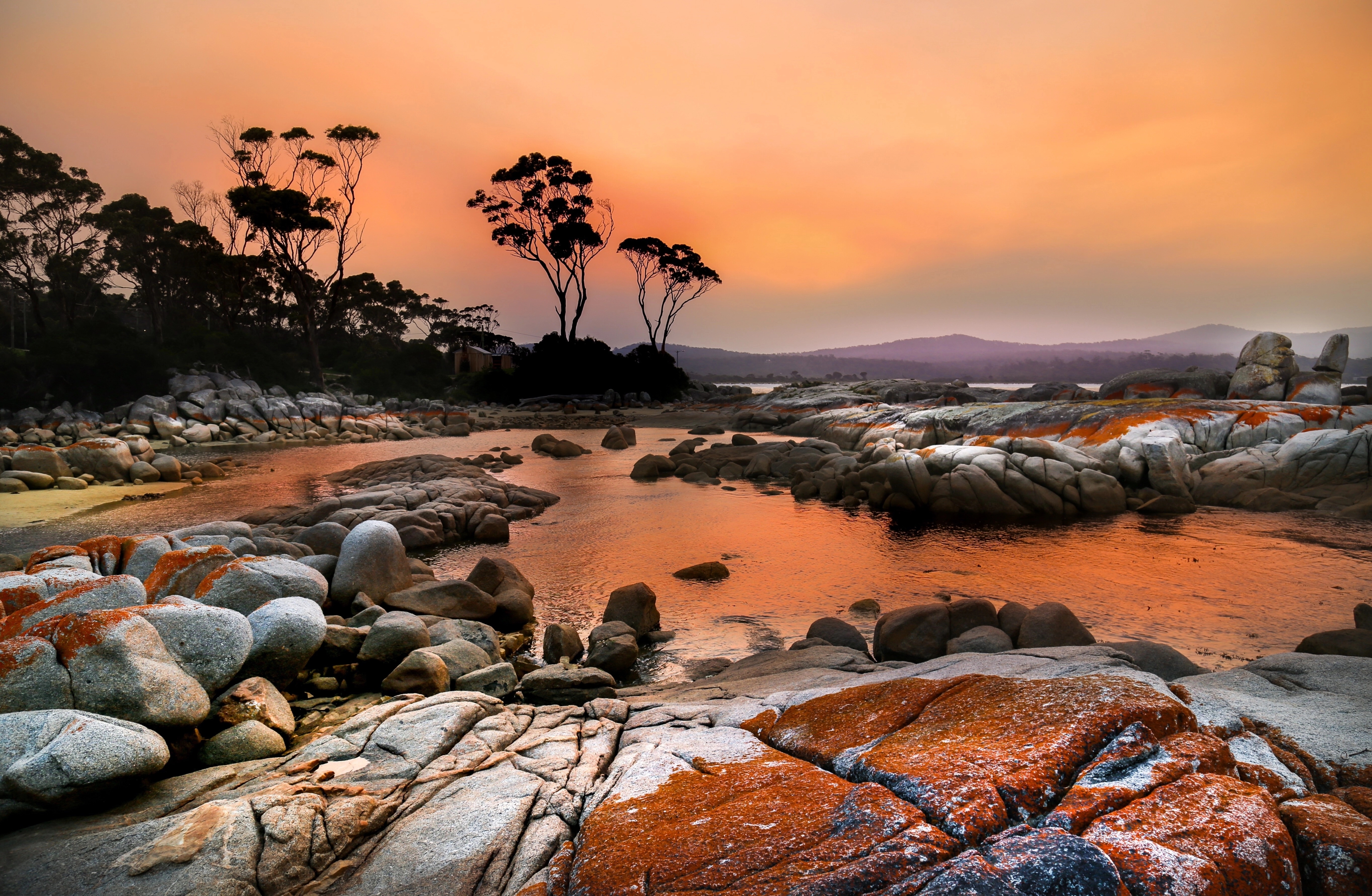 Shop Tasmania/eCommerce Clients/shoptasmania/AdobeStock_132383359_wpjkf9