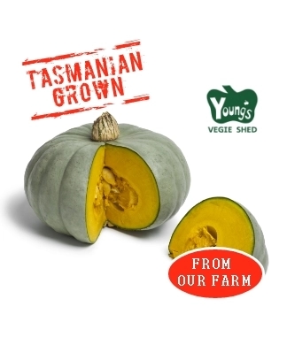 Whole Grey Pumpkin TAS