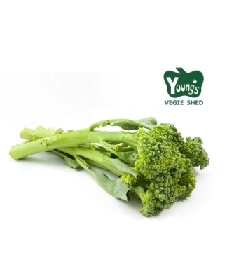 Tasmanian Broccolini Bunch