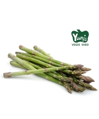 Australian Asparagus Bunch